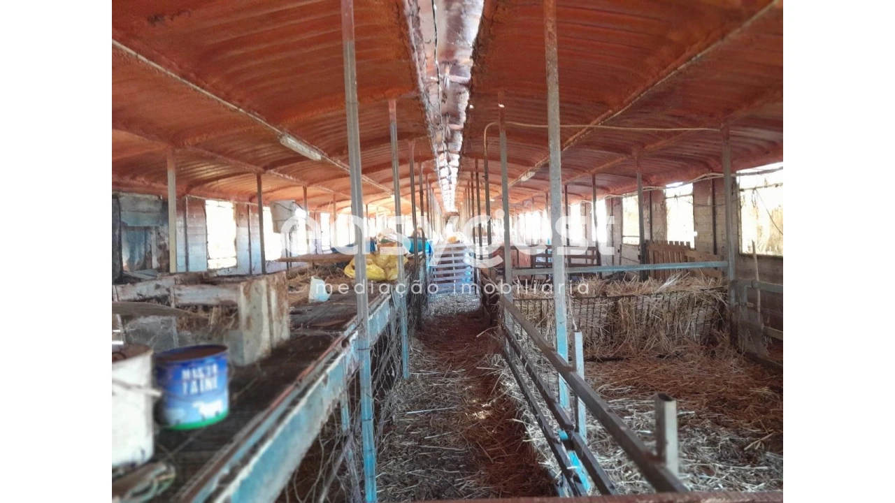 Terreno Agricola ou Rústico para Venda em Beringel Foto 15