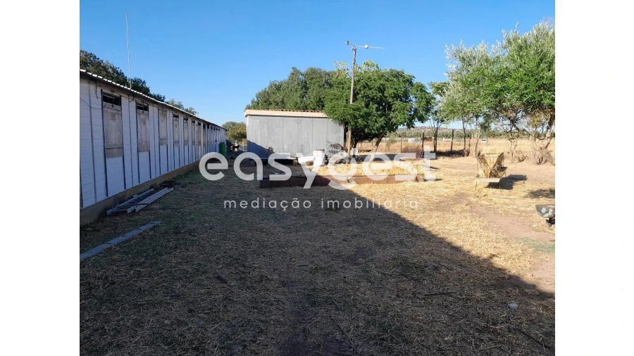 Terreno Agricola ou Rústico para Venda em Beringel Foto 2