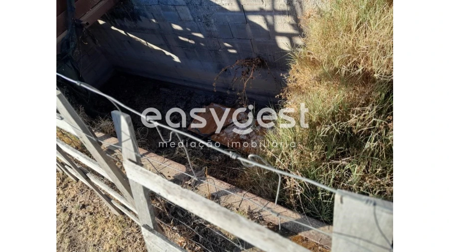 Terreno Agricola ou Rústico para Venda em Beringel Foto 8