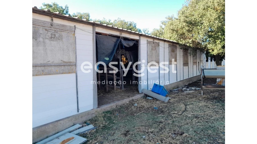 Terreno Agricola ou Rústico para Venda em Beringel Foto 12