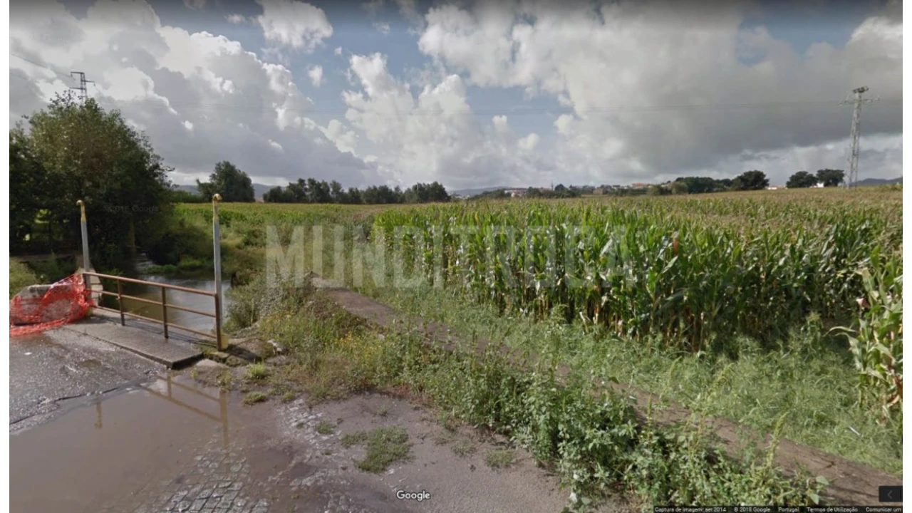 Quinta para Venda em Arcozelo Foto 4