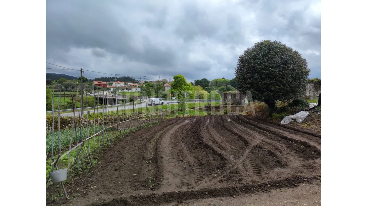Terreno para Venda em Fragoso Foto 5
