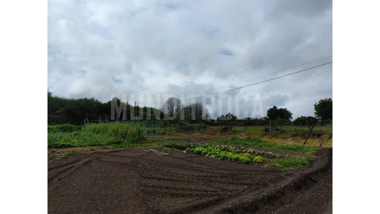 Terreno para Venda em Fragoso Foto 8