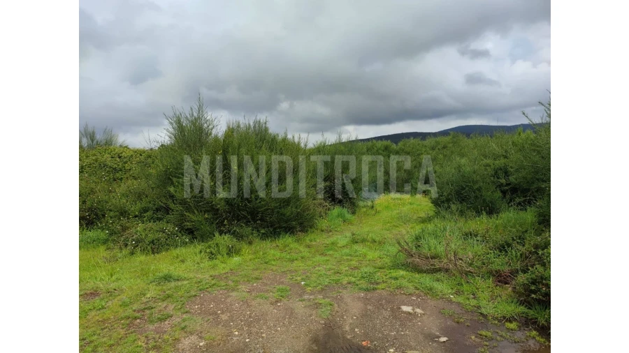 Terreno para Venda em Fragoso Foto 2