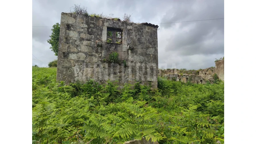 Terreno para Venda em Fragoso Foto 3