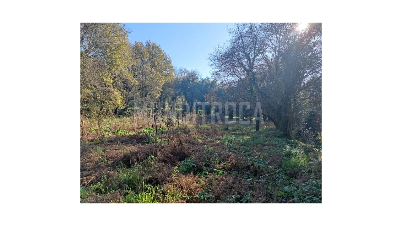 Quinta T10 para Venda em Esqueiros, Nevogilde e Travassós Foto 11