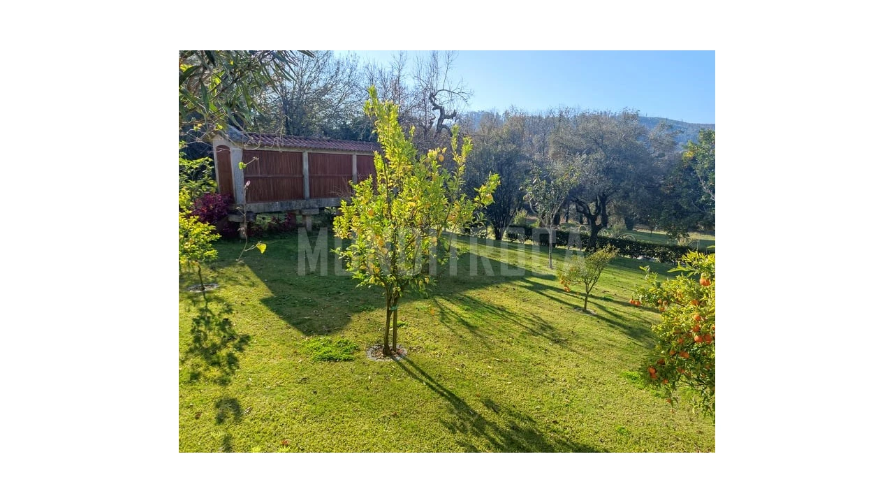 Quinta T10 para Venda em Esqueiros, Nevogilde e Travassós Foto 13