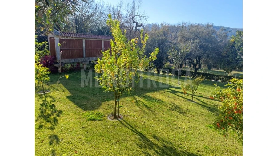 Quinta T10 para Venda em Esqueiros, Nevogilde e Travassós Foto 13