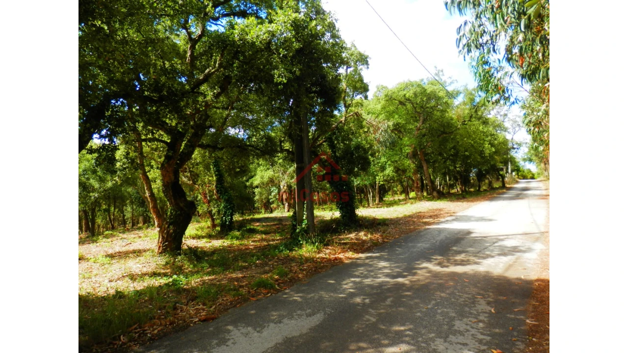 Terreno Agricola ou Rústico para Venda em Mafra Foto 3