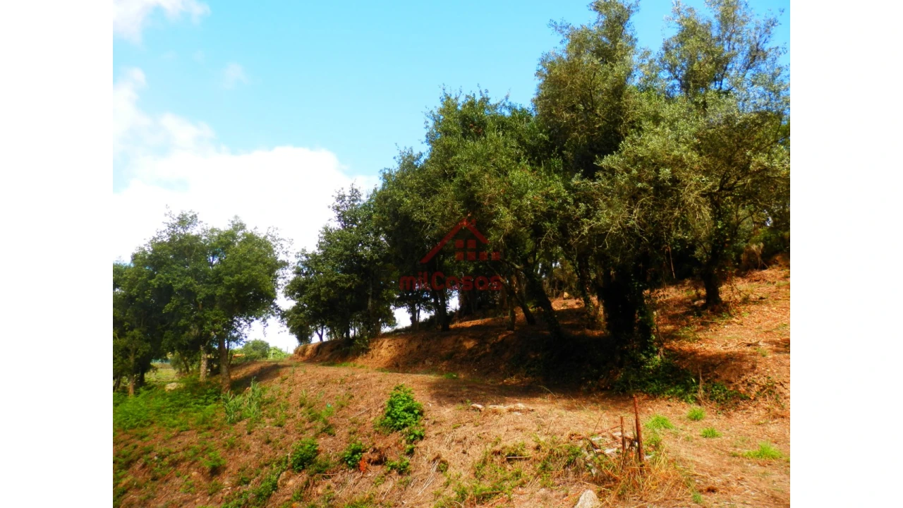 Terreno Agricola ou Rústico para Venda em Mafra Foto 7