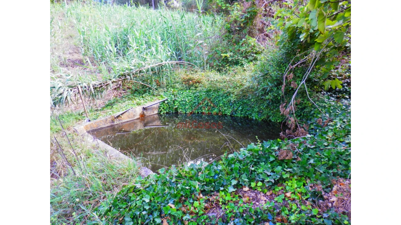 Terreno Agricola ou Rústico para Venda em Mafra Foto 9