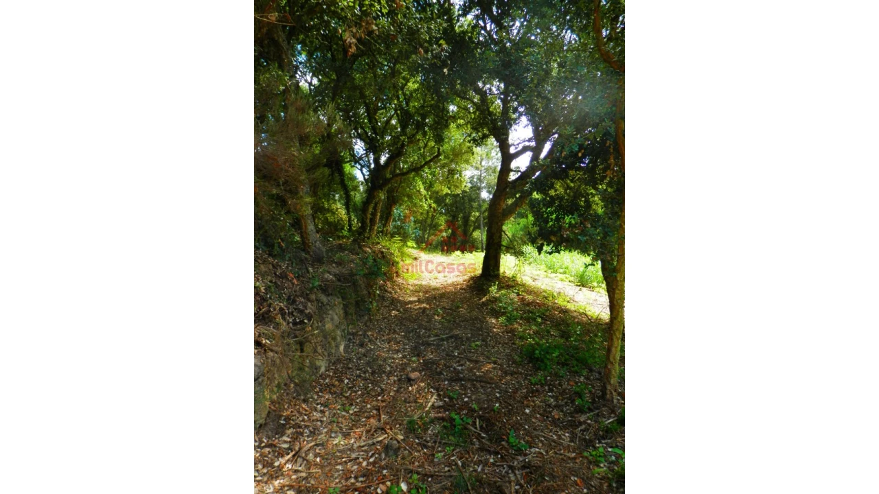 Terreno Agricola ou Rústico para Venda em Mafra Foto 10