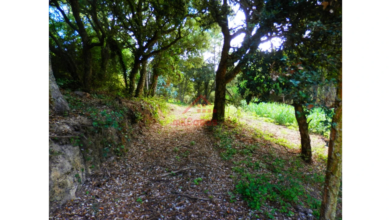 Terreno Agricola ou Rústico para Venda em Mafra Foto 11