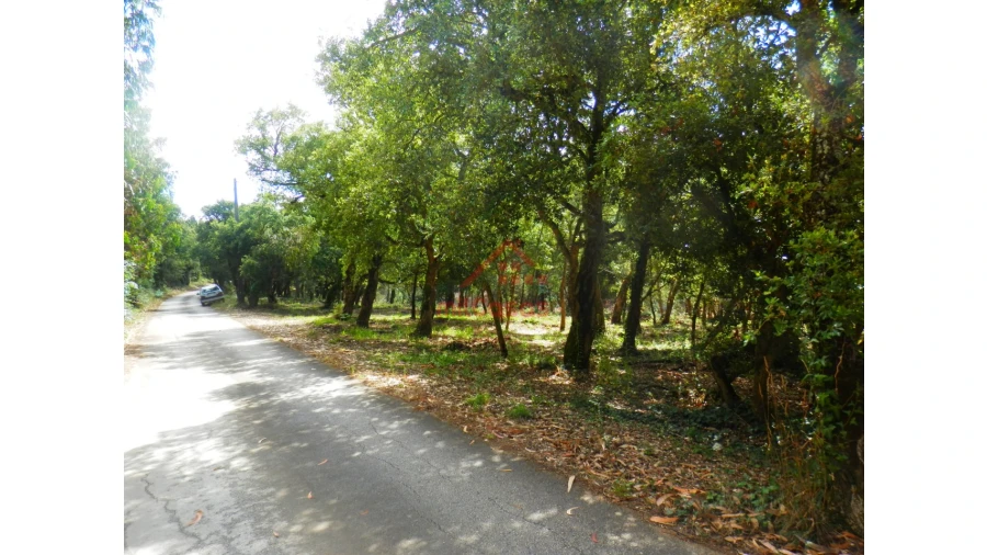Terreno Agricola ou Rústico para Venda em Mafra Foto 2