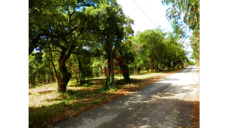 Terreno Agricola ou Rústico para Venda em Mafra Foto 3