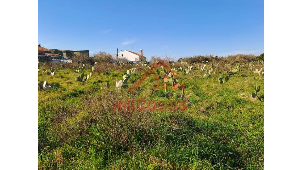Terreno para Venda em Freiria Foto 2