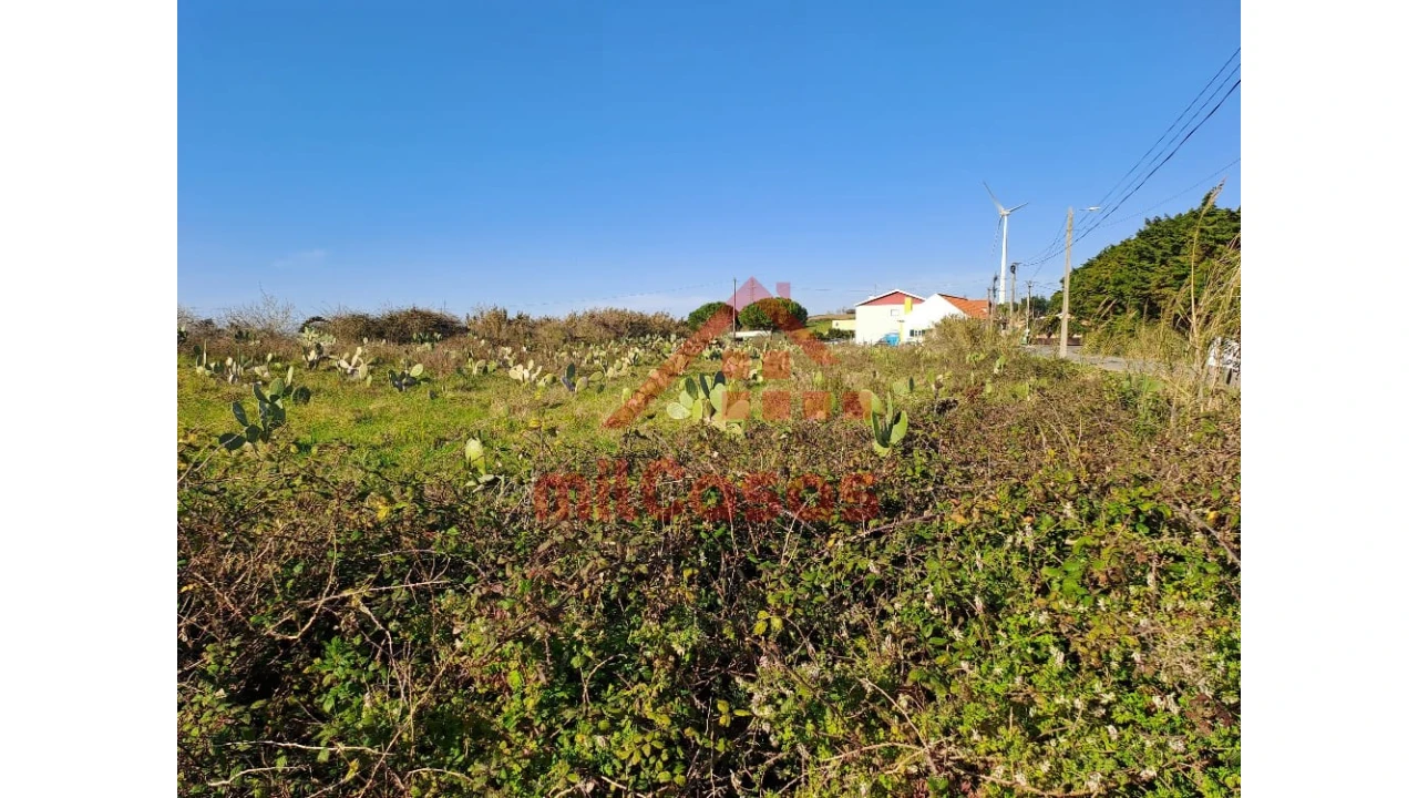 Terreno para Venda em Freiria Foto 3