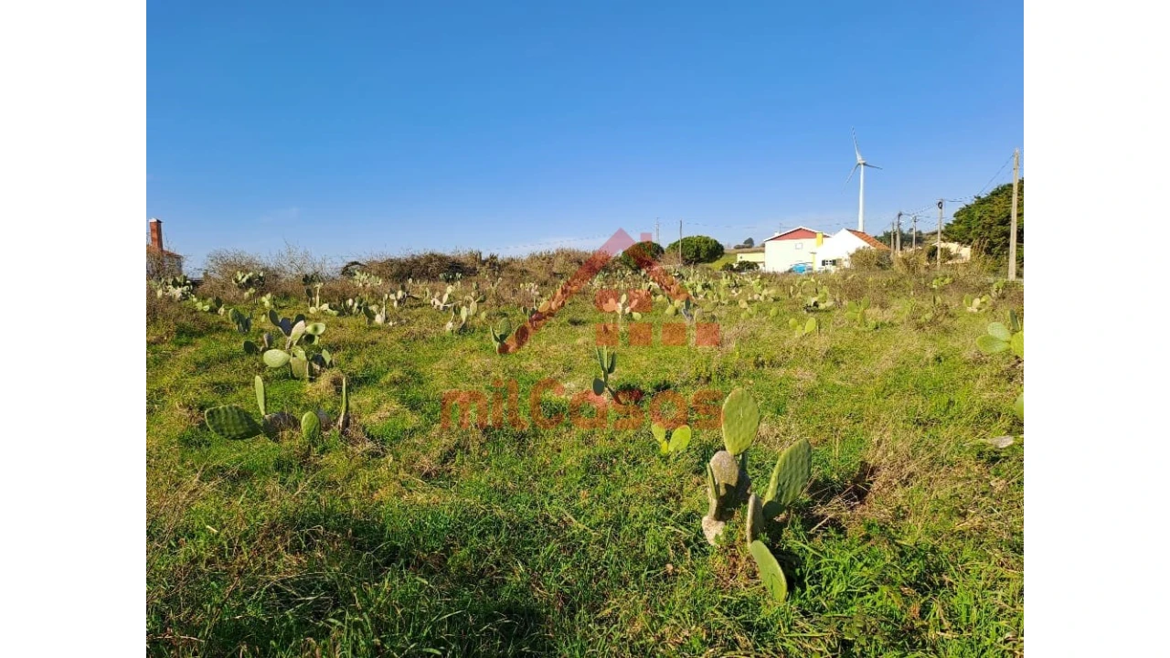 Terreno para Venda em Freiria Foto 5