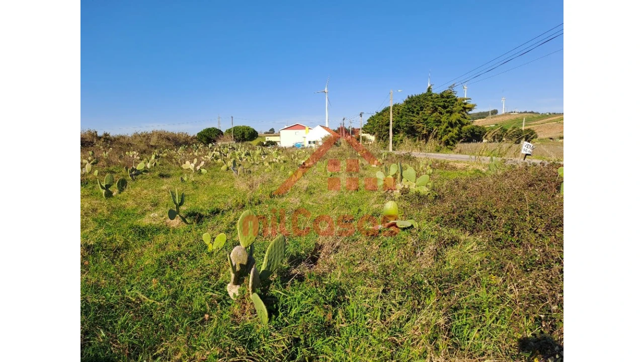 Terreno para Venda em Freiria Foto 7