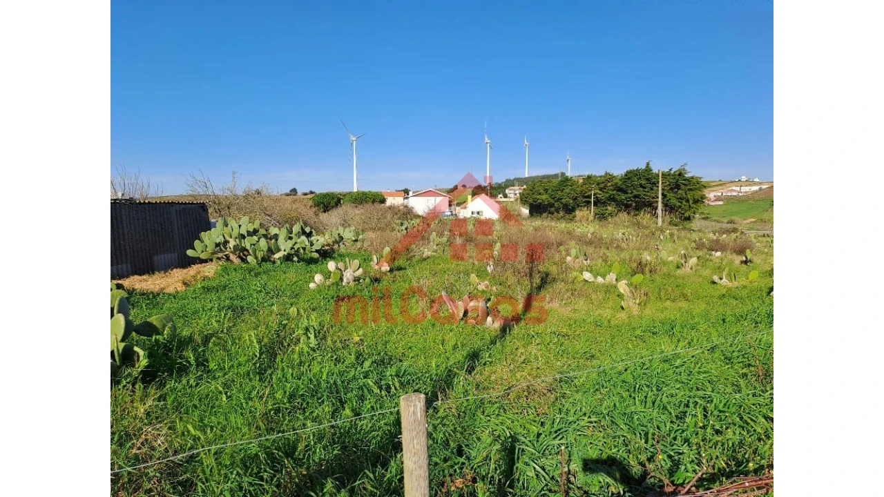 Terreno para Venda em Freiria Foto 8