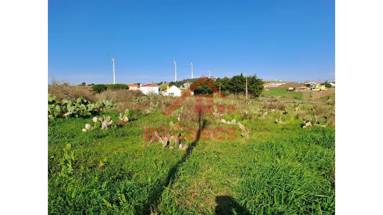 Terreno para Venda em Freiria Foto 9