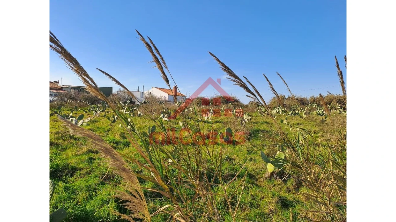 Terreno para Venda em Freiria Foto 11