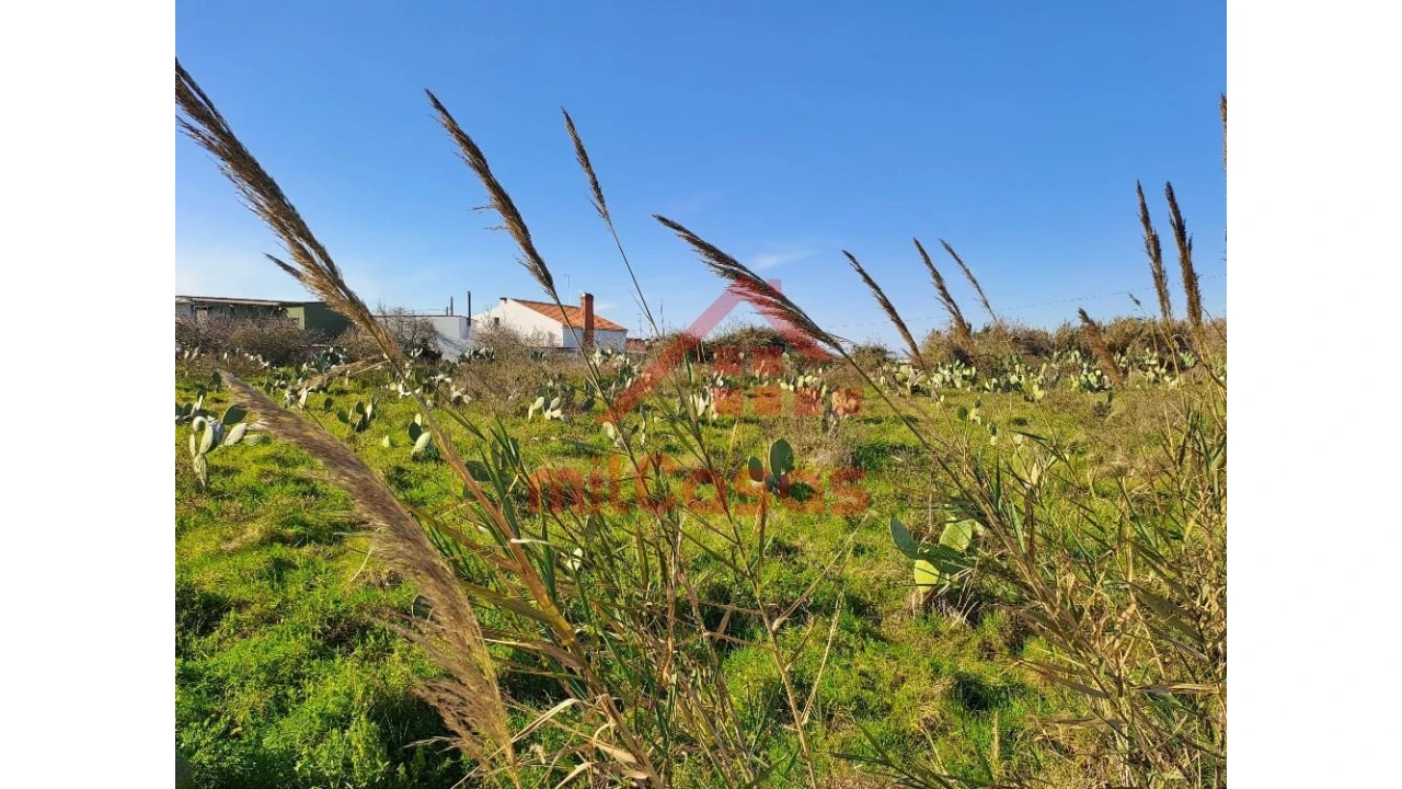 Terreno para Venda em Freiria Foto 12