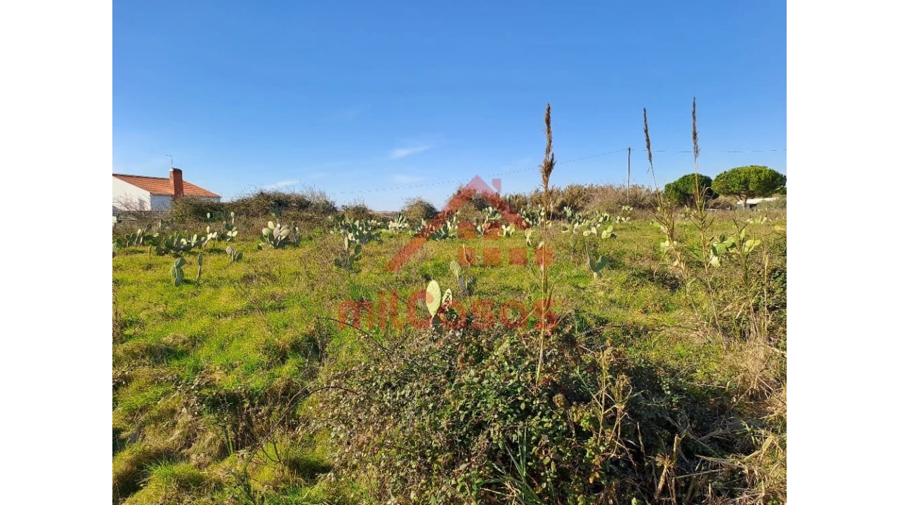 Terreno para Venda em Freiria Foto 14