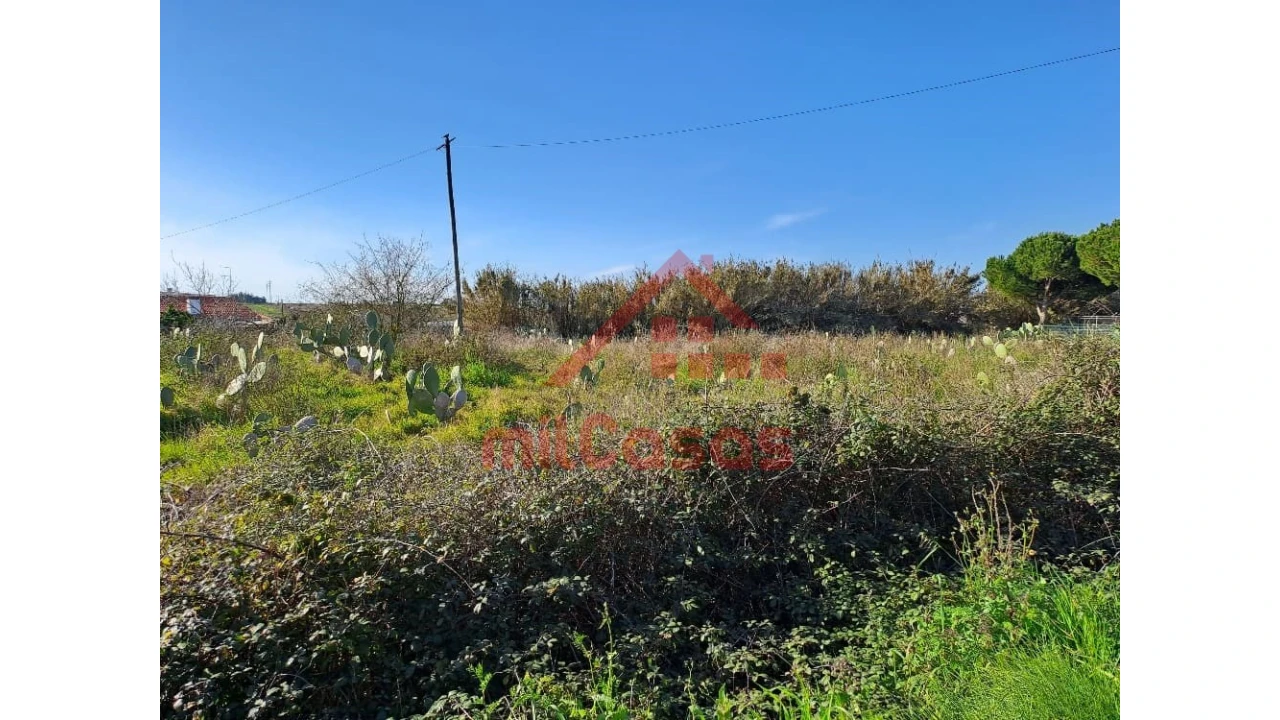 Terreno para Venda em Freiria Foto 15