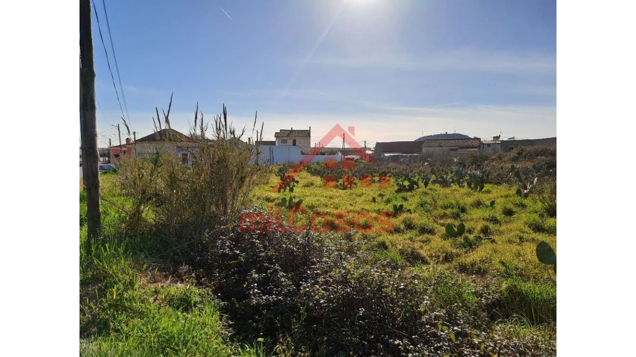 Terreno para Venda em Freiria Foto 17