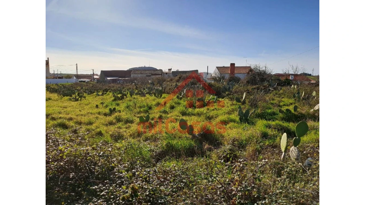 Terreno para Venda em Freiria Foto 18