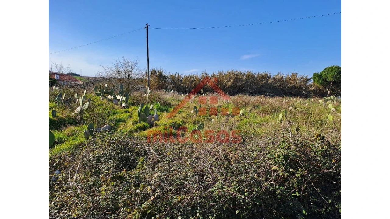 Terreno para Venda em Freiria Foto 19