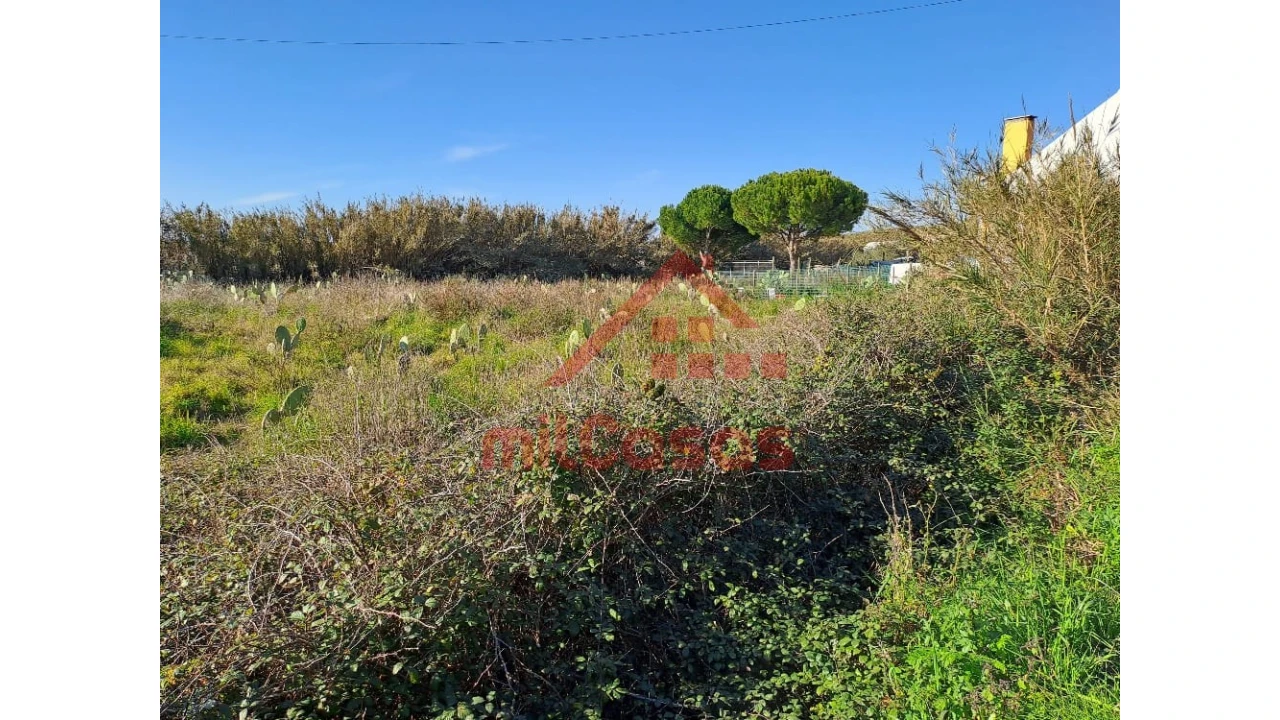 Terreno para Venda em Freiria Foto 20