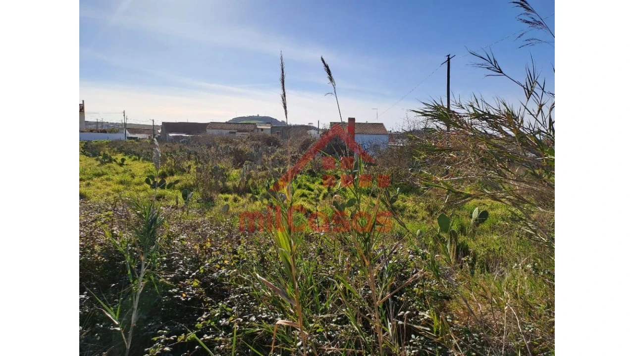 Terreno para Venda em Freiria Foto 22