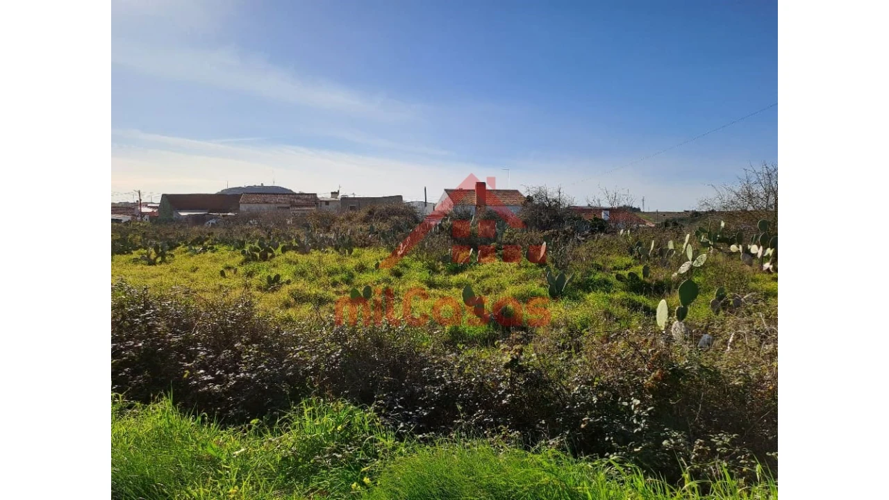 Terreno para Venda em Freiria Foto 24