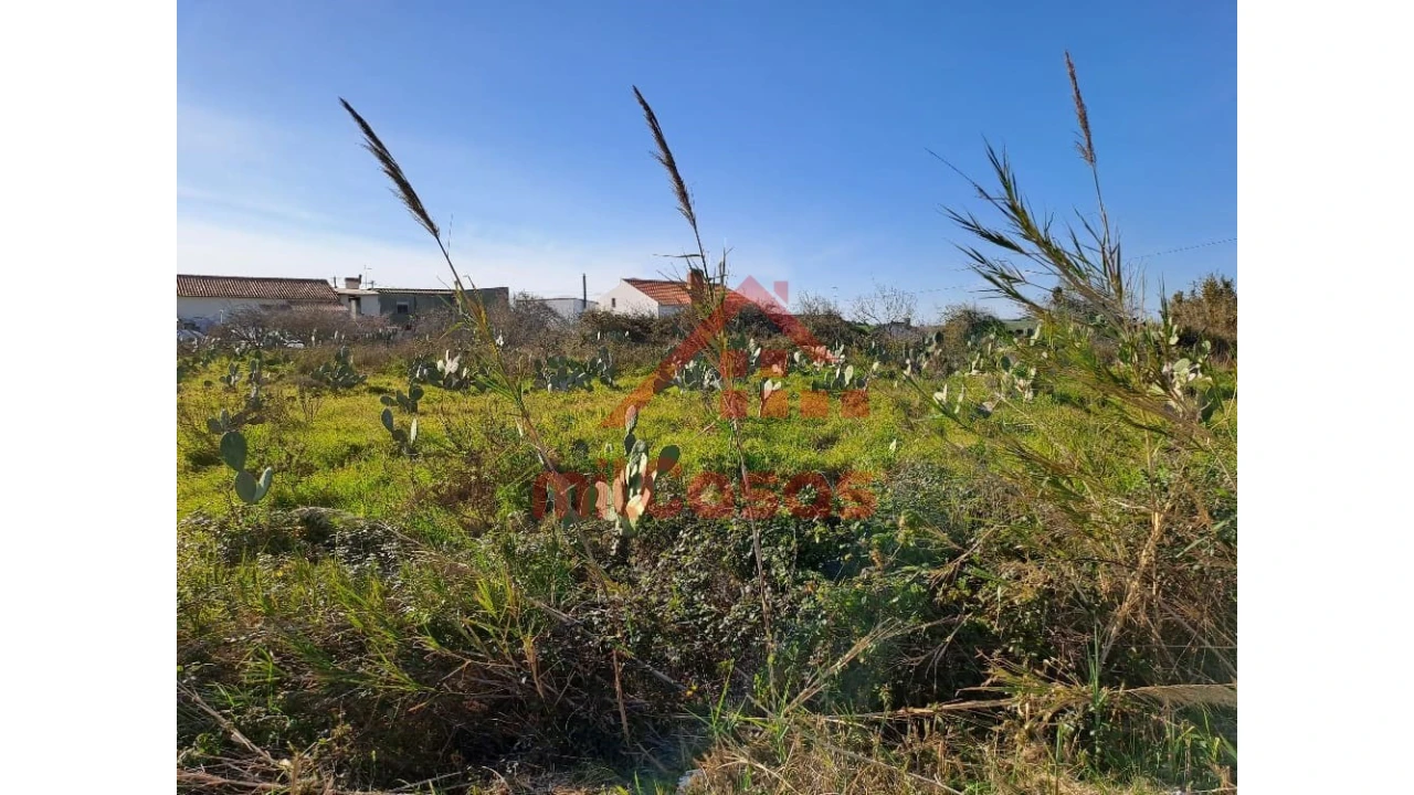 Terreno para Venda em Freiria Foto 25