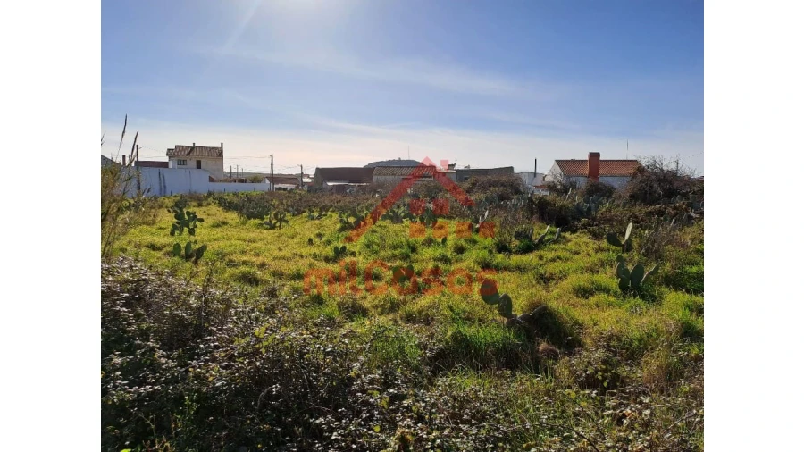 Terreno para Venda em Freiria Foto 1