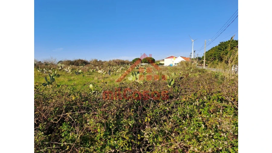 Terreno para Venda em Freiria Foto 3