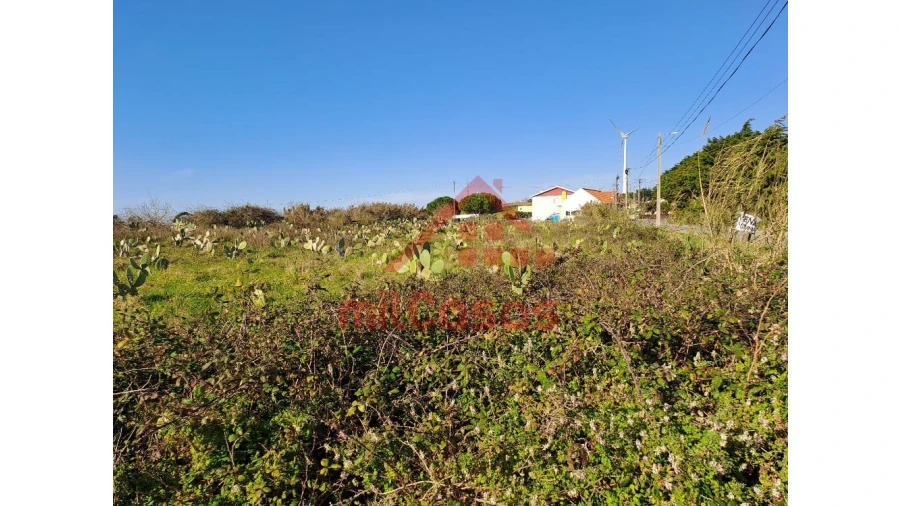 Terreno para Venda em Freiria Foto 4