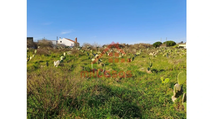 Terreno para Venda em Freiria Foto 6