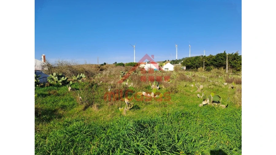 Terreno para Venda em Freiria Foto 10