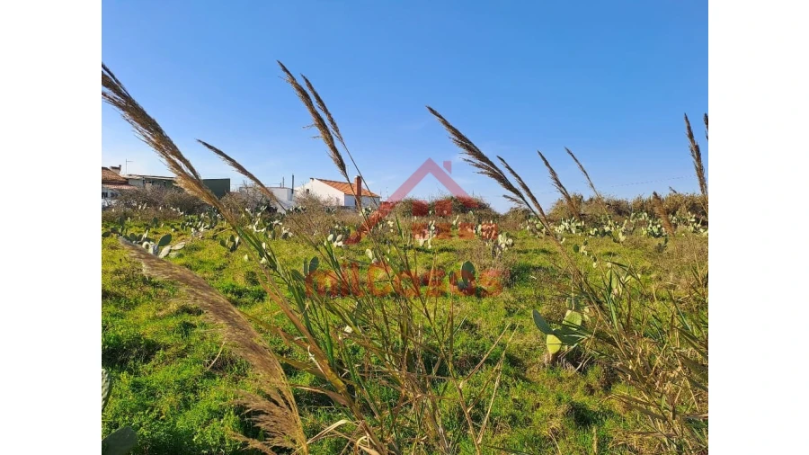 Terreno para Venda em Freiria Foto 11