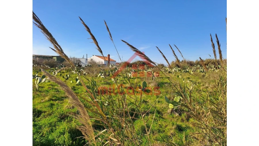 Terreno para Venda em Freiria Foto 12