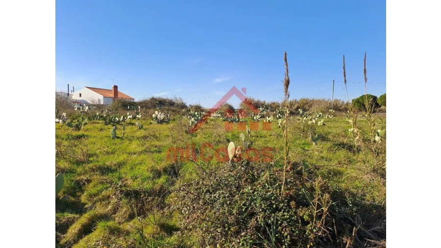 Terreno para Venda em Freiria Foto 13