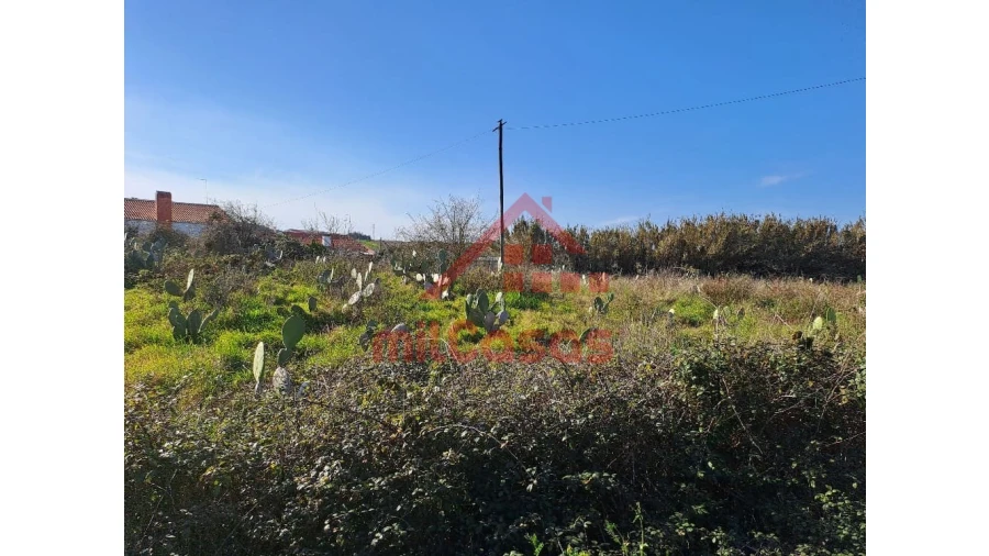 Terreno para Venda em Freiria Foto 16