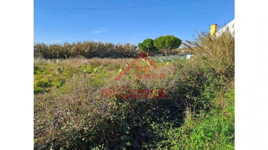 Terreno para Venda em Freiria Foto 20