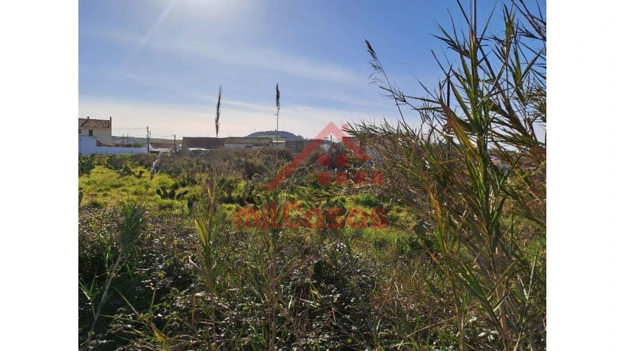 Terreno para Venda em Freiria Foto 21