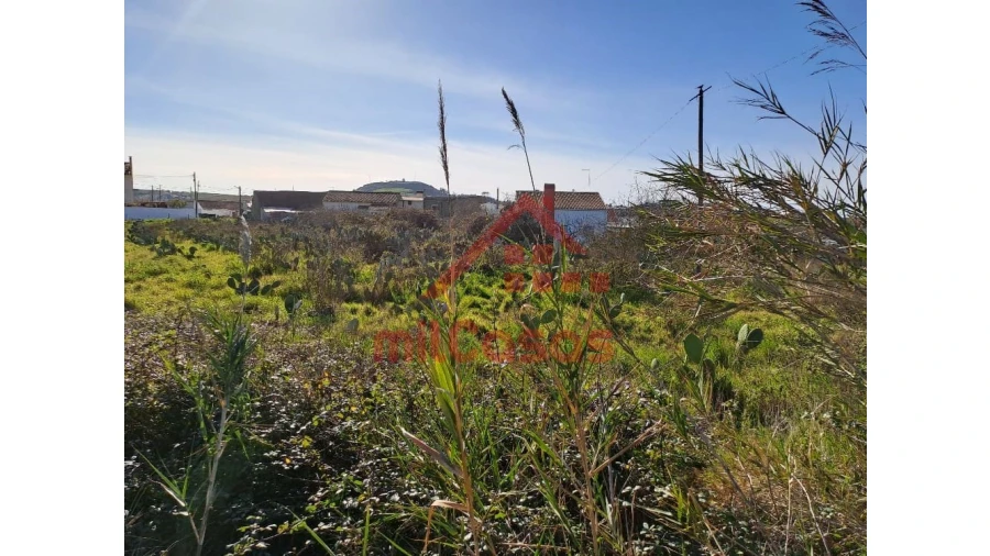 Terreno para Venda em Freiria Foto 22