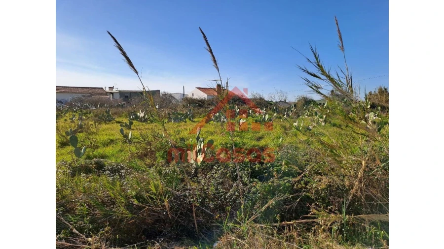 Terreno para Venda em Freiria Foto 25