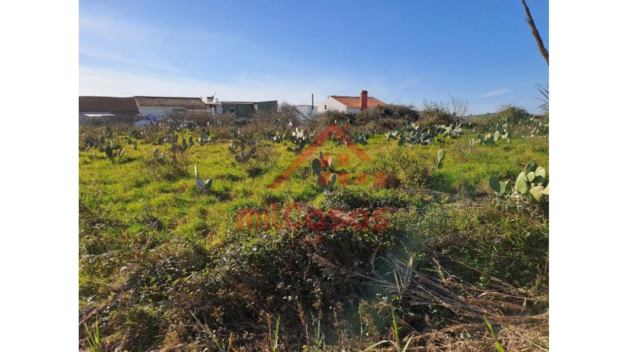 Terreno para Venda em Freiria Foto 26